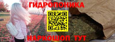 прущие грибы Конаково