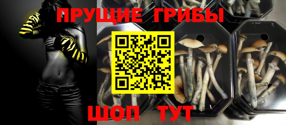 Галлюциногенные грибы прущие грибы  Вход с VPN  Дмитров 