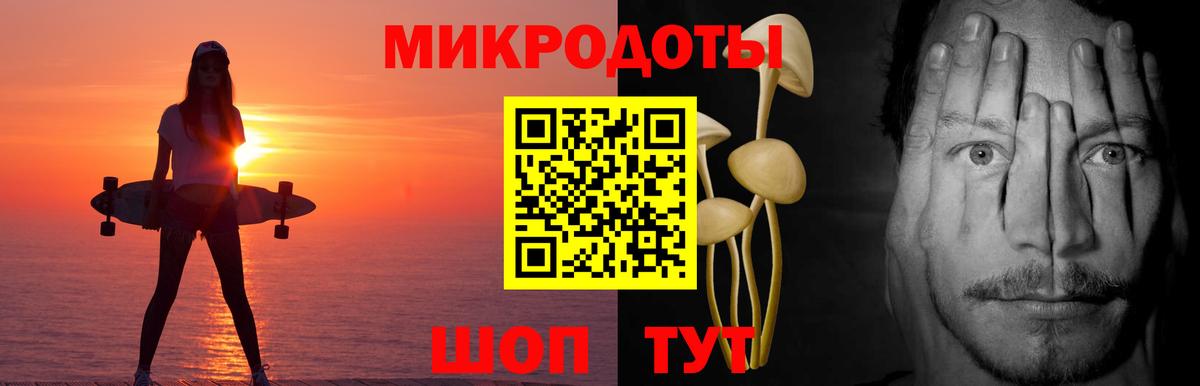 Псилоцибиновые грибы мицелий Дмитров